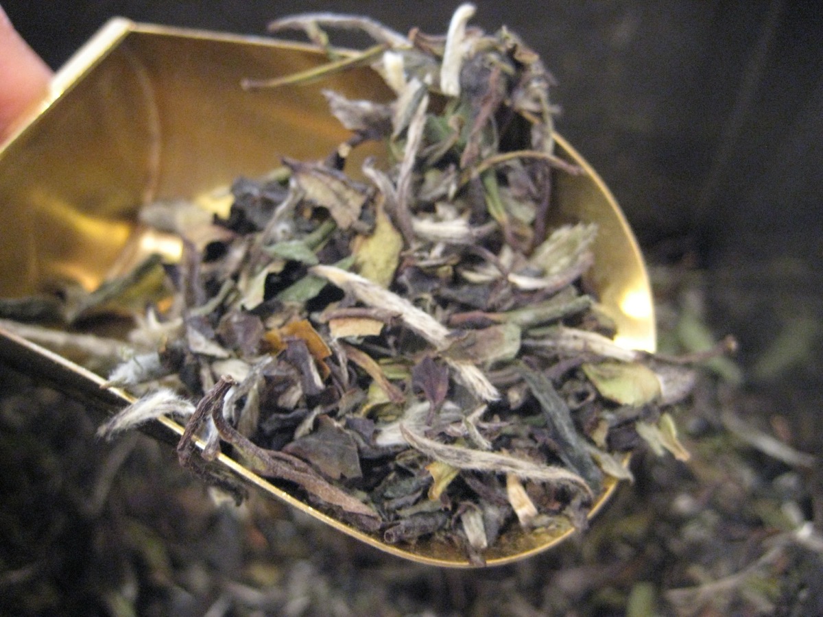 White peony tea leaves